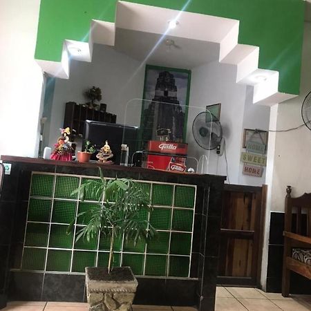 فلوريس Green Monkey Hostel المظهر الخارجي الصورة