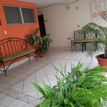 فلوريس Green Monkey Hostel المظهر الخارجي الصورة