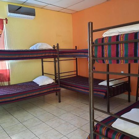 فلوريس Green Monkey Hostel المظهر الخارجي الصورة
