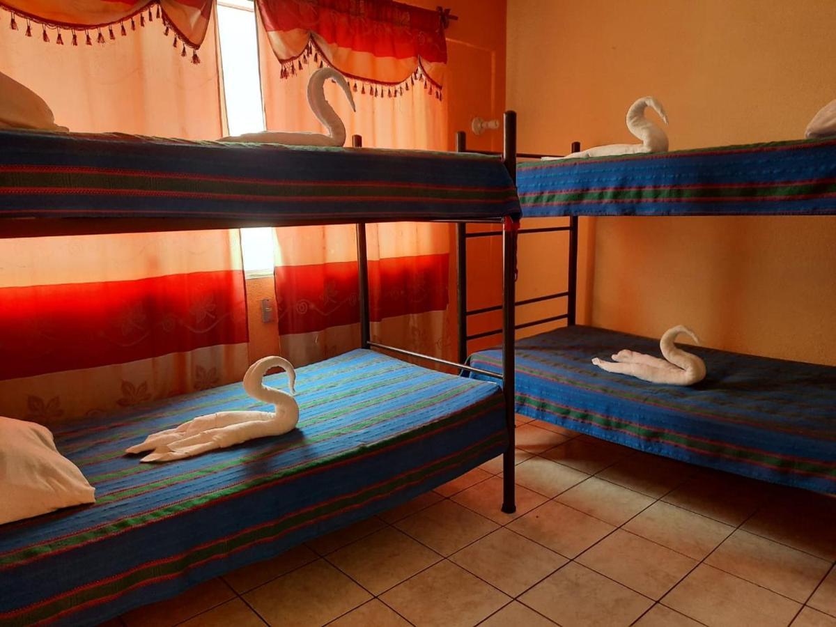 فلوريس Green Monkey Hostel المظهر الخارجي الصورة