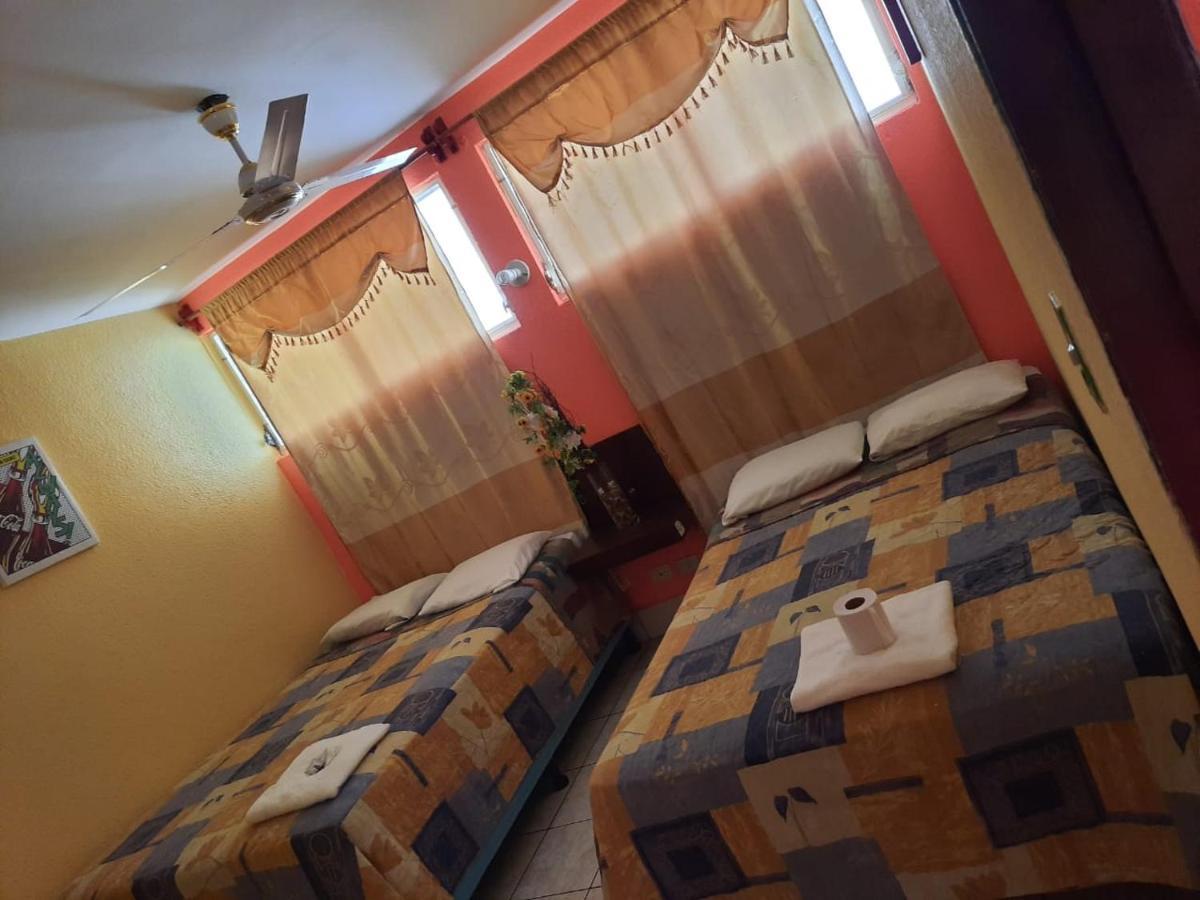فلوريس Green Monkey Hostel المظهر الخارجي الصورة