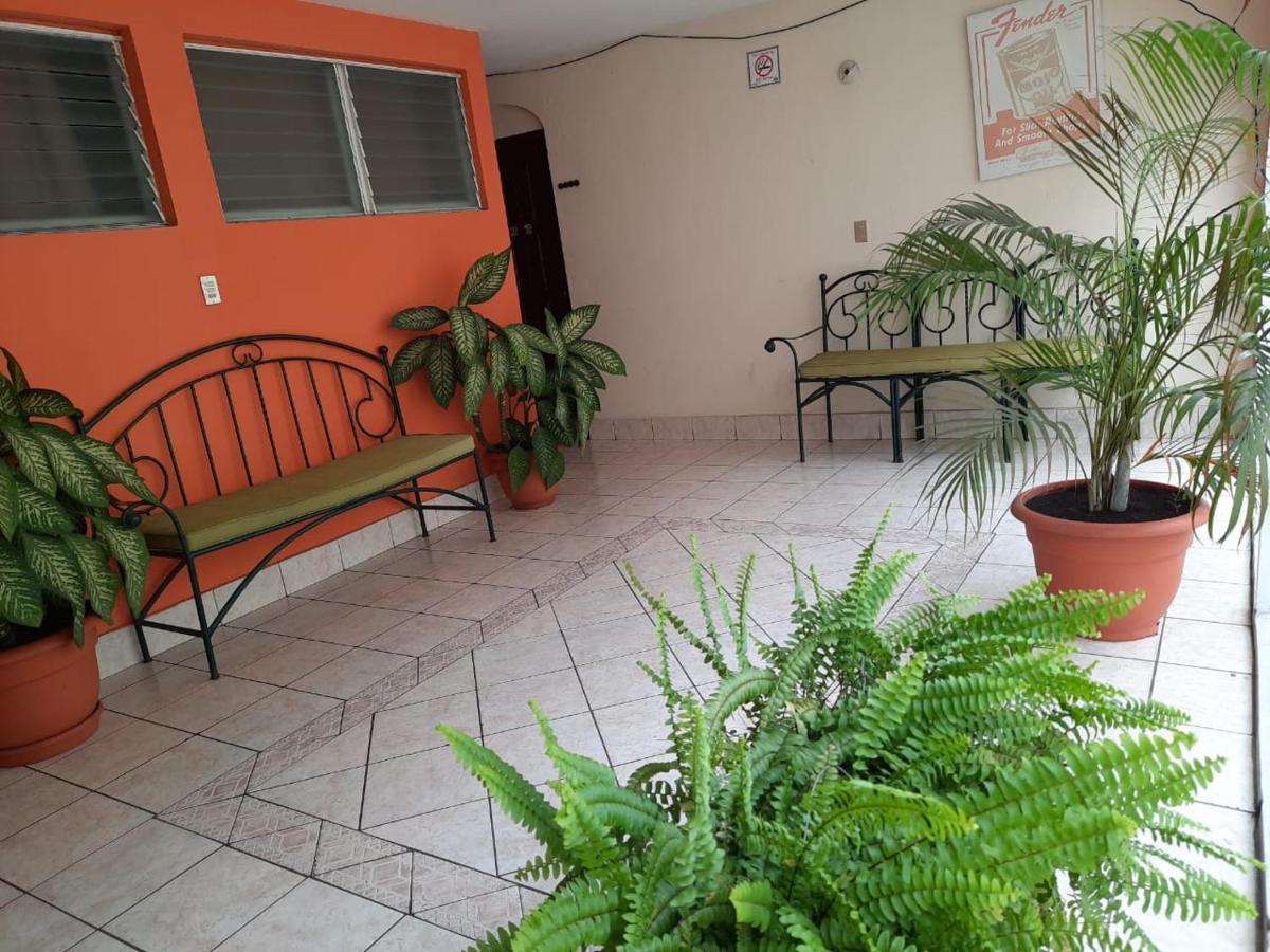 فلوريس Green Monkey Hostel المظهر الخارجي الصورة