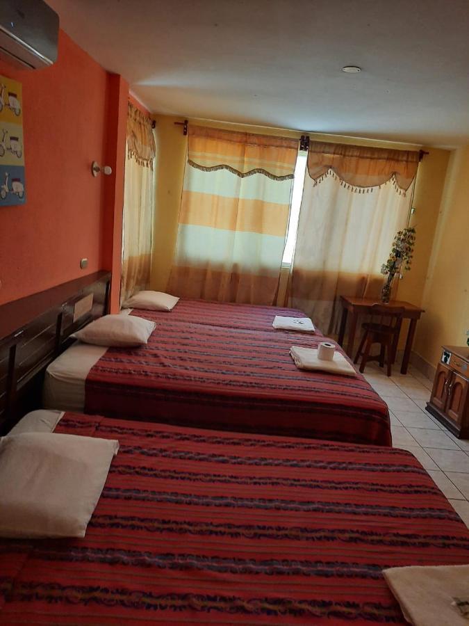 فلوريس Green Monkey Hostel المظهر الخارجي الصورة