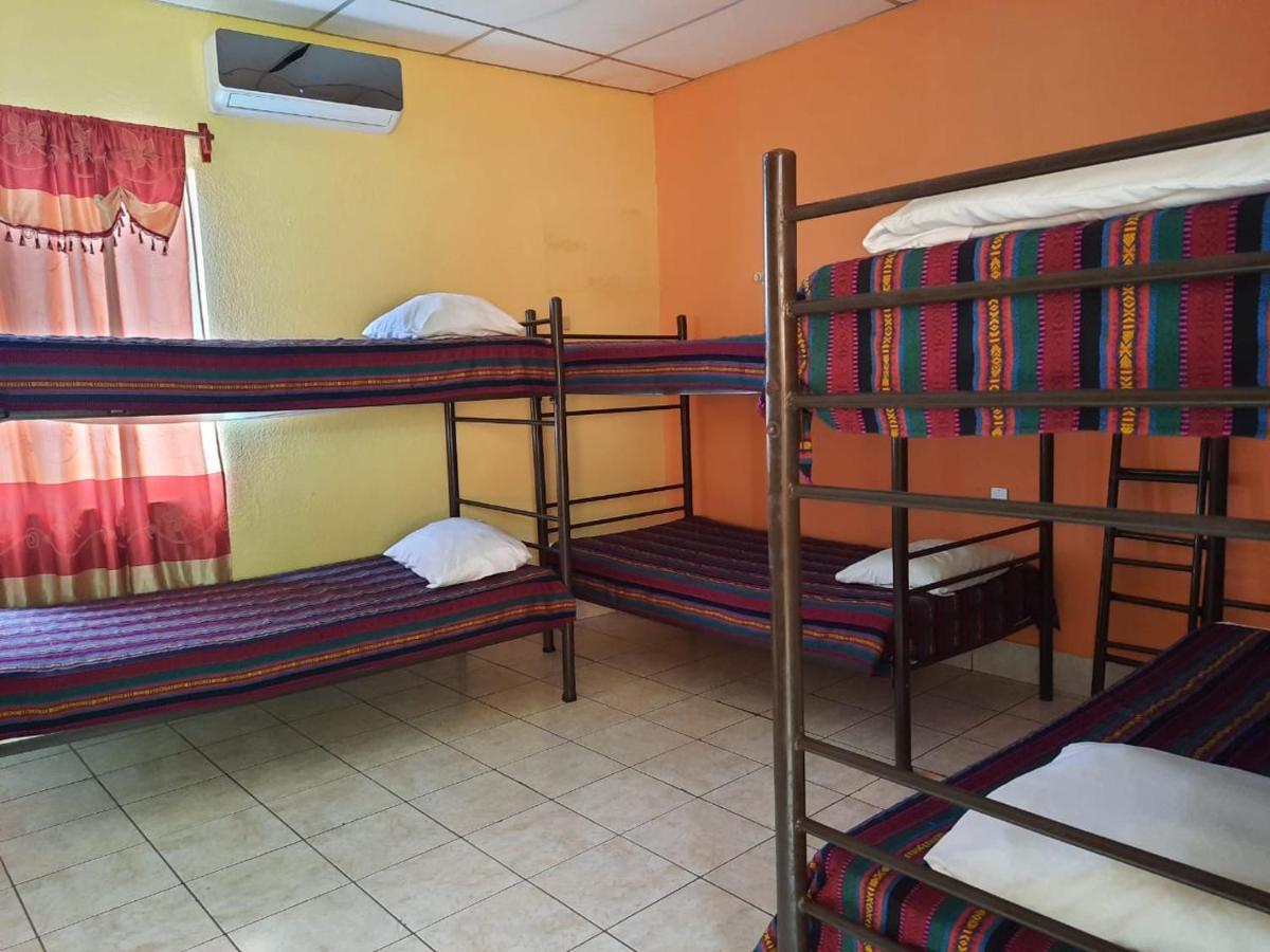 فلوريس Green Monkey Hostel المظهر الخارجي الصورة